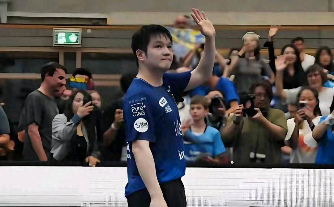 德媒:樊振东一人让德甲成为国际赛事